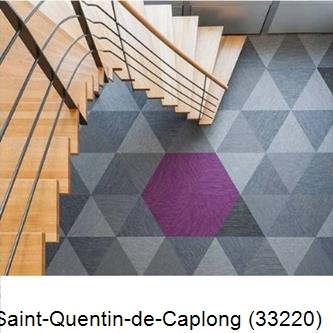 Peinture revêtements et sols à Saint-Quentin-de-Caplong-33220